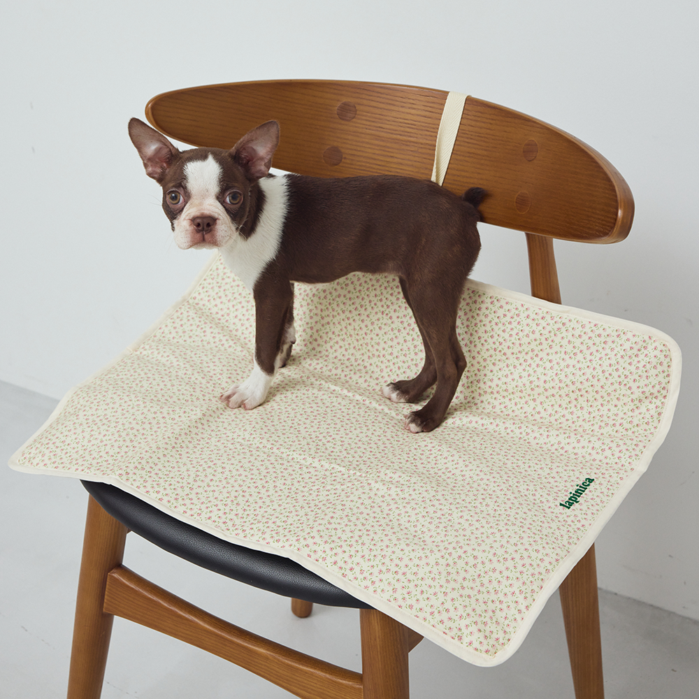 専用！カフェマット　ペット用品 楽天市場】Cafemat カフェマット 収納用巾着袋付き ステイマット